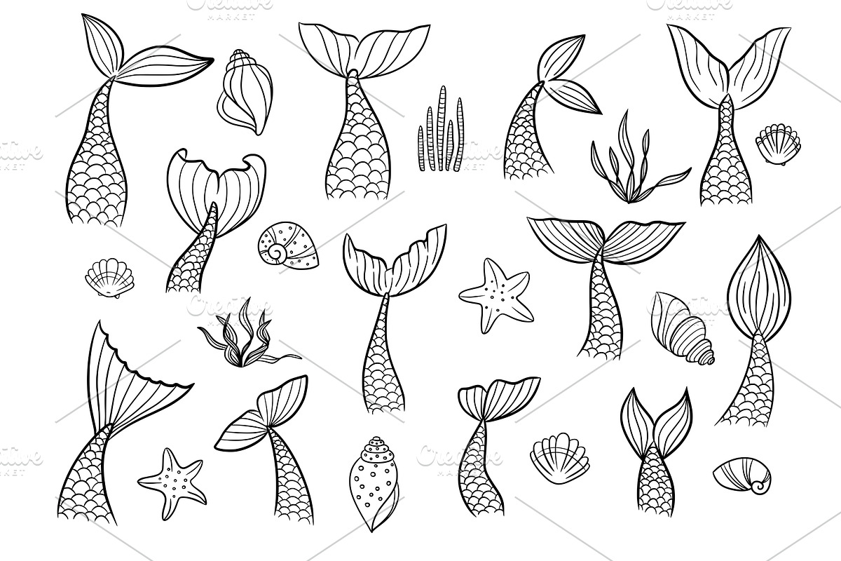 Mermaid tail with shell, seaweed, an Object Graphic by BaldeZh