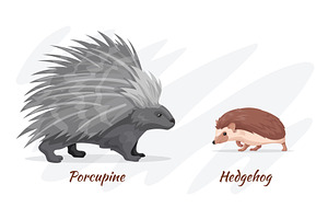 Porcupine and hedgehog. Prickly wild, an Animal Illustration by Stock-Smart-Start