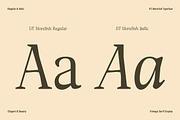 DT Morelish - Serif Display, a Serif Font by Dryy.type (Thumbnail 4 of 12)