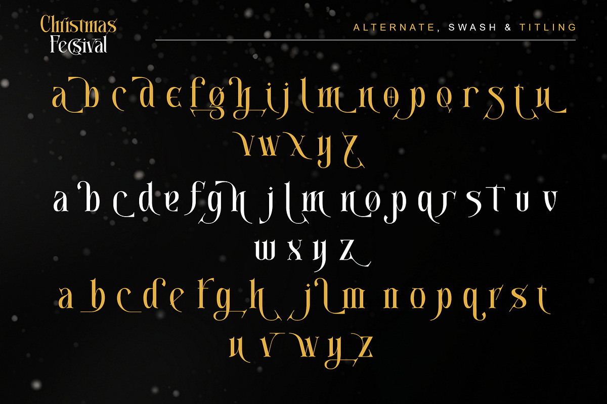 Christmas Fecsival – Elegant Serif, a Serif Font by Letterara (Photo 12 of 15)