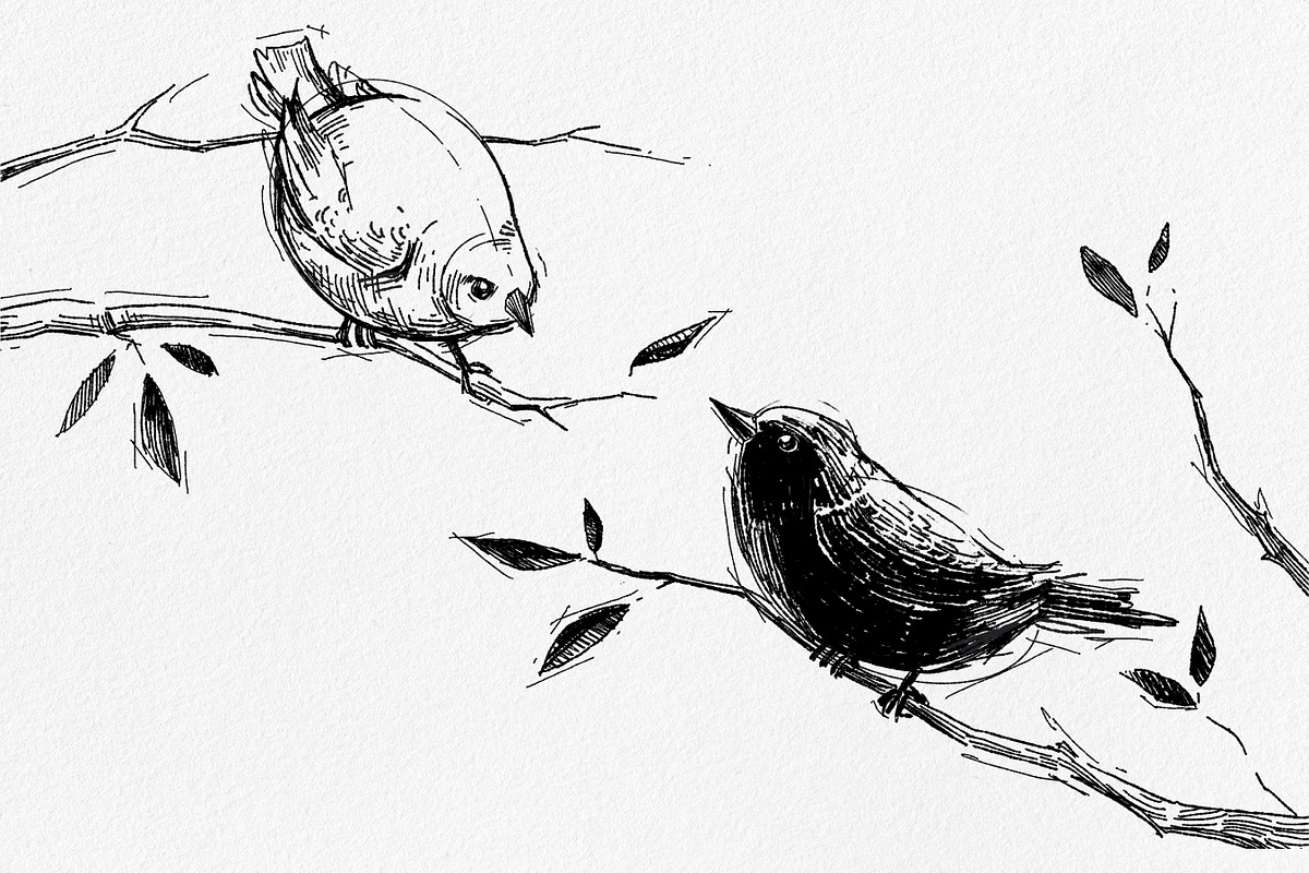 Sketch Brushes for Procreate, a Brush Add-On by pixelbuddha.net (Photo 4 of 5)