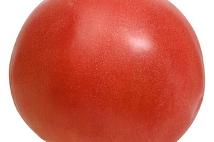 Whole red ripe tomato on isolated background, a Food & Drink Photo by ndanko