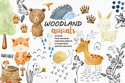 70% off. Bundle. Woodland animals., an Animal Illustration by TaPilipa (Thumbnail 20 of 38)