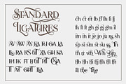 Novelia Pro, a Serif Font by joelmaker (Thumbnail 20 of 21)