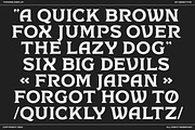 Chrone Display Font, a Serif Font by Genetype (Thumbnail 4 of 8)