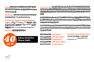 SchussSerifProHeavIta No.40 1 Font