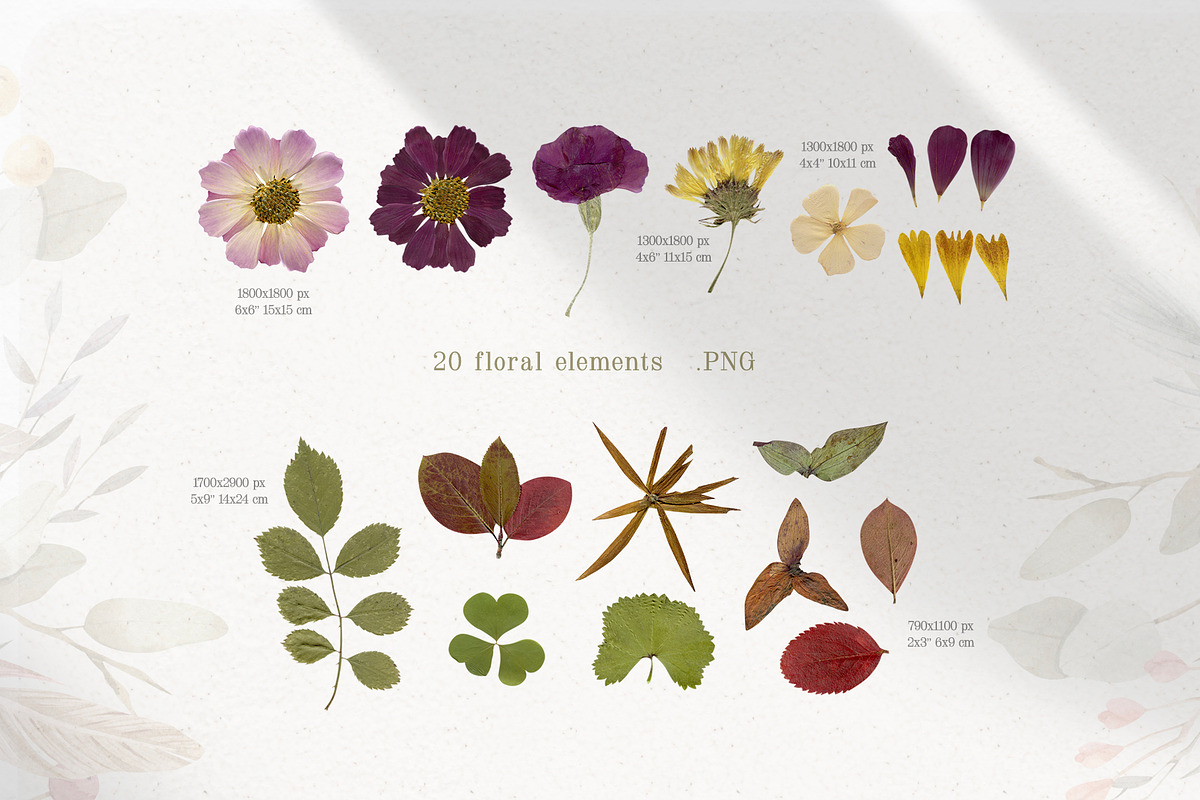 Magic Flowers - watercolor collectio, an Object Graphic by Julia M. Watercolor (Photo 5 of 14)