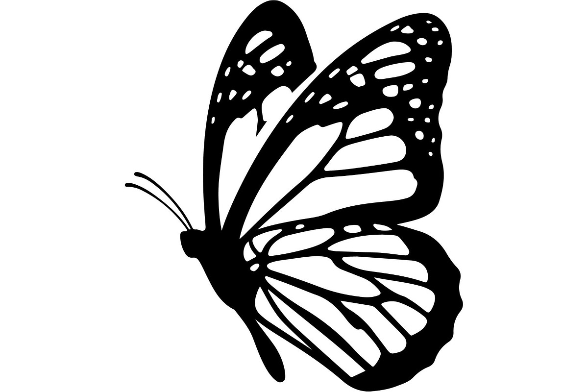 Butterfly Silhouette Bundle, an Object Graphic by Designer_Momina (Photo 4 of 20)