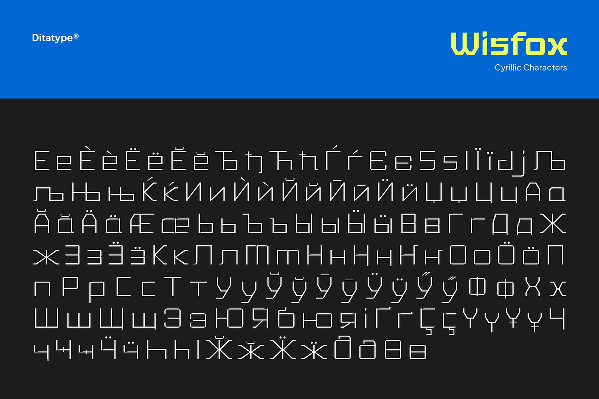 Wisfox, a Symbol Font by Ditatype (Photo 14 of 16)
