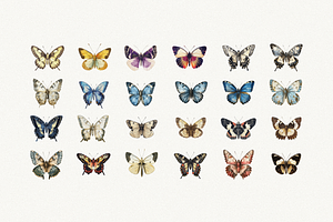 80 Vintage Butterflies Clipart