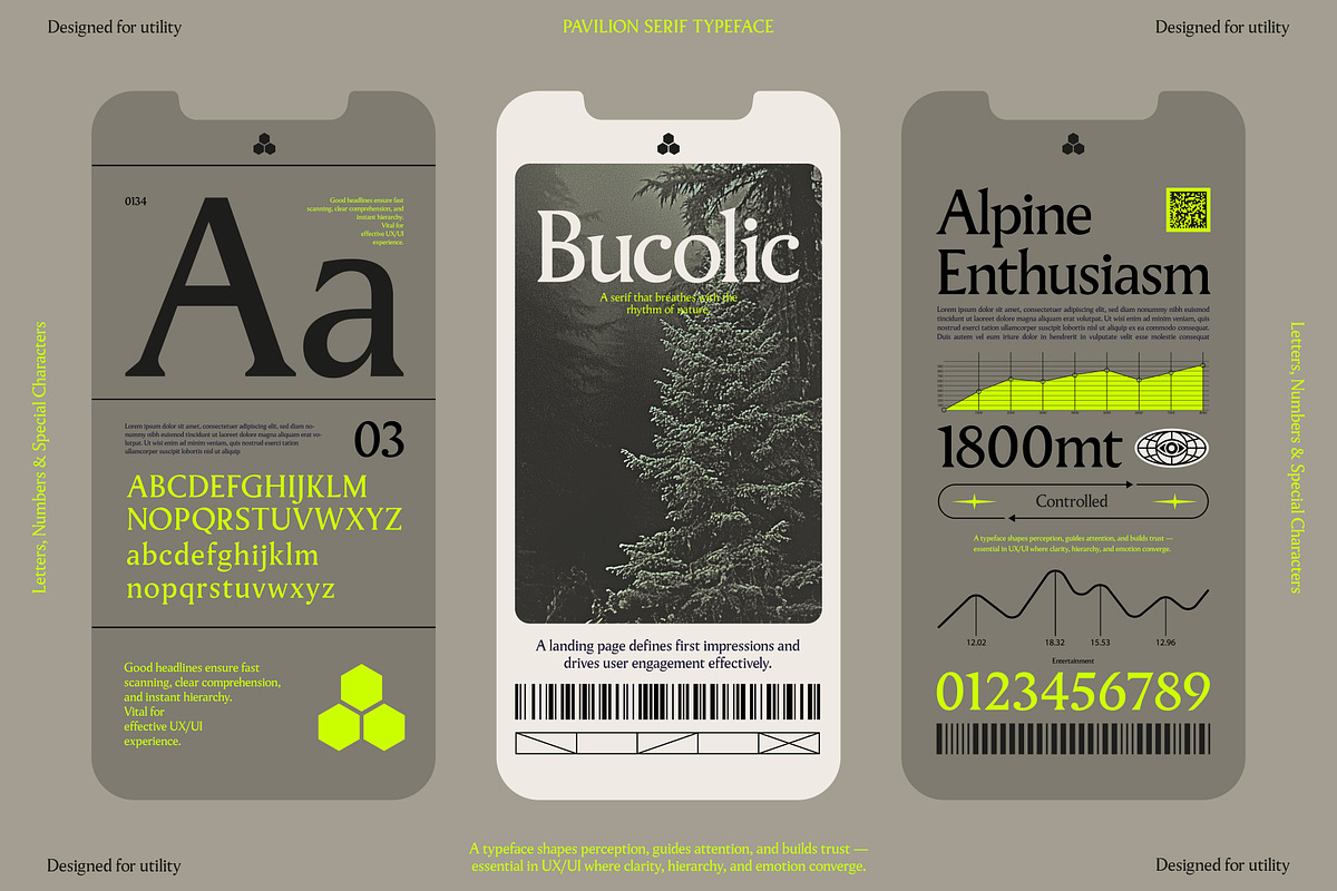 Pavilion Serif Typeface, a Serif Font by God Control (Photo 4 of 12)