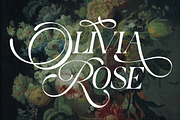 Berfal - Elegant Luxury Serif, a Serif Font by Qweera Studio (Thumbnail 6 of 12)
