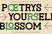 Molusen New Retro Serif Display Font, a Slab Serif Font by timelesstype.co (Thumbnail 6 of 10)