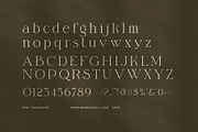 Rimak Elegant Serif Font, a Serif Font by Elegant Font (Thumbnail 7 of 8)
