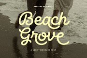 Beach Grove - Script Monoline Font, a Script Font by Elmous (Thumbnail 1 of 11)