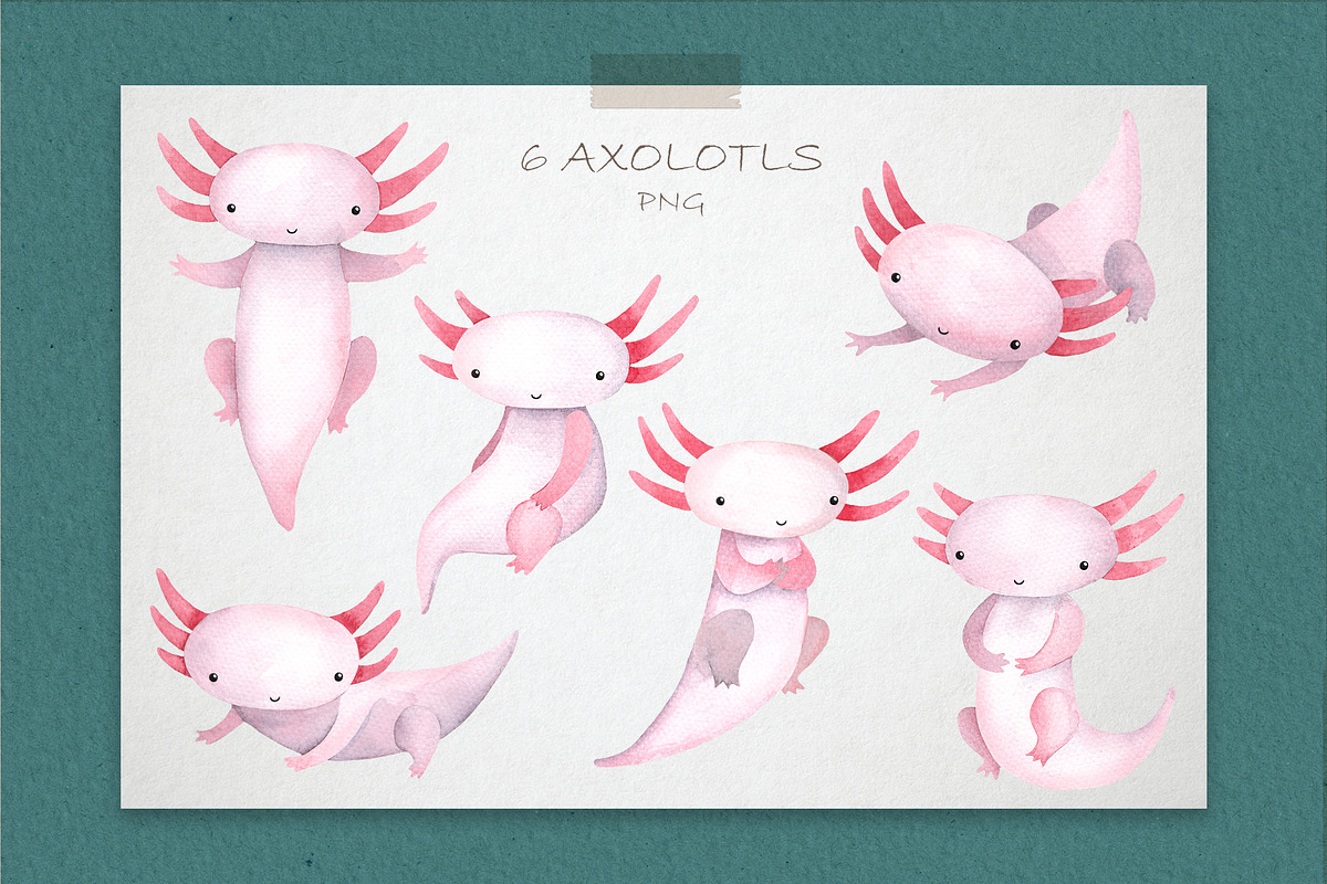 Cute Watercolor Pink Axolotl, an Animal Illustration by LukaJreym (Photo 2 of 9)