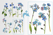 Watercolor set - forget-me-nots, a Decorative Illustration by My art shop (Thumbnail 2 of 2)
