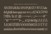 Rosmanic – Condensed Font, a Serif Font by Craft Supply Co. (Thumbnail 8 of 8)