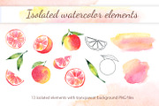 Grapefruit Watercolor Clipart, a Decorative Illustration by YuskinKot (Thumbnail 5 of 5)