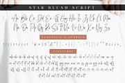 Star Blush Elegant Font Duo, a Serif Font by Vampstudio (Thumbnail 13 of 13)