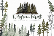 Evergreen Forest Watercolor, an Illustration by plaidGecko (Thumbnail 1 of 4)