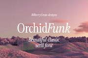 OrchidFunk - Classic Serif Font, a Serif Font by BilberryCreates (Thumbnail 1 of 14)