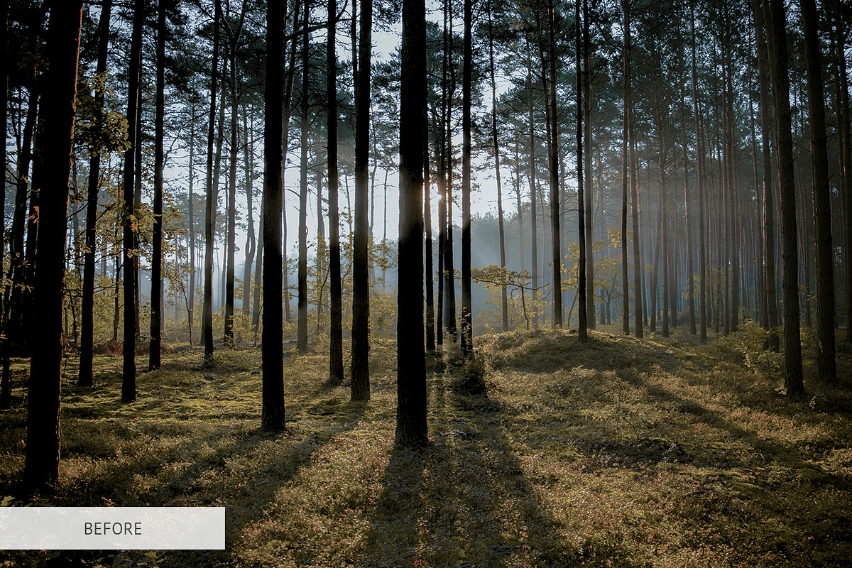 White Smoke Photoshop Overlays, a Plug-in Add-On by FixThePhoto (Photo 31 of 34)