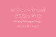 Stroom - Signature Script Font, a Script Font by Colt Type Co (Thumbnail 4 of 10)
