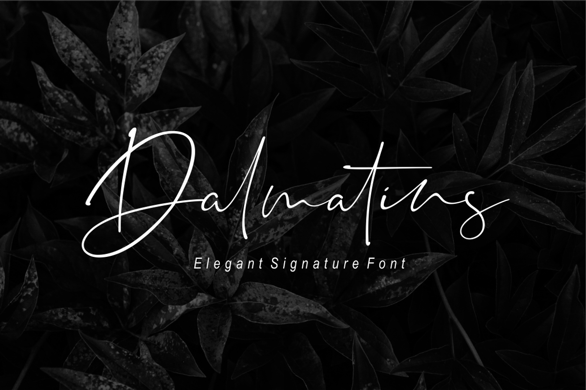 Dalmatins // Elegant Signature Font