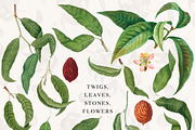 Vintage Peach Graphic Collection #03, an Object Graphic by Olga Begak Art & Design (Thumbnail 3 of 8)