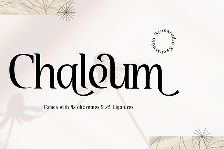 Chaleum Display Font, a Script Font by Sronstudio