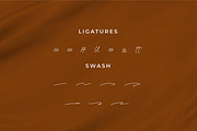 Wesynetta, a Script Font by Integritype Studio (Thumbnail 11 of 15)