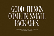 Karim Elegant Serif Font Typeface, a Serif Font by Perfectype (Thumbnail 5 of 6)