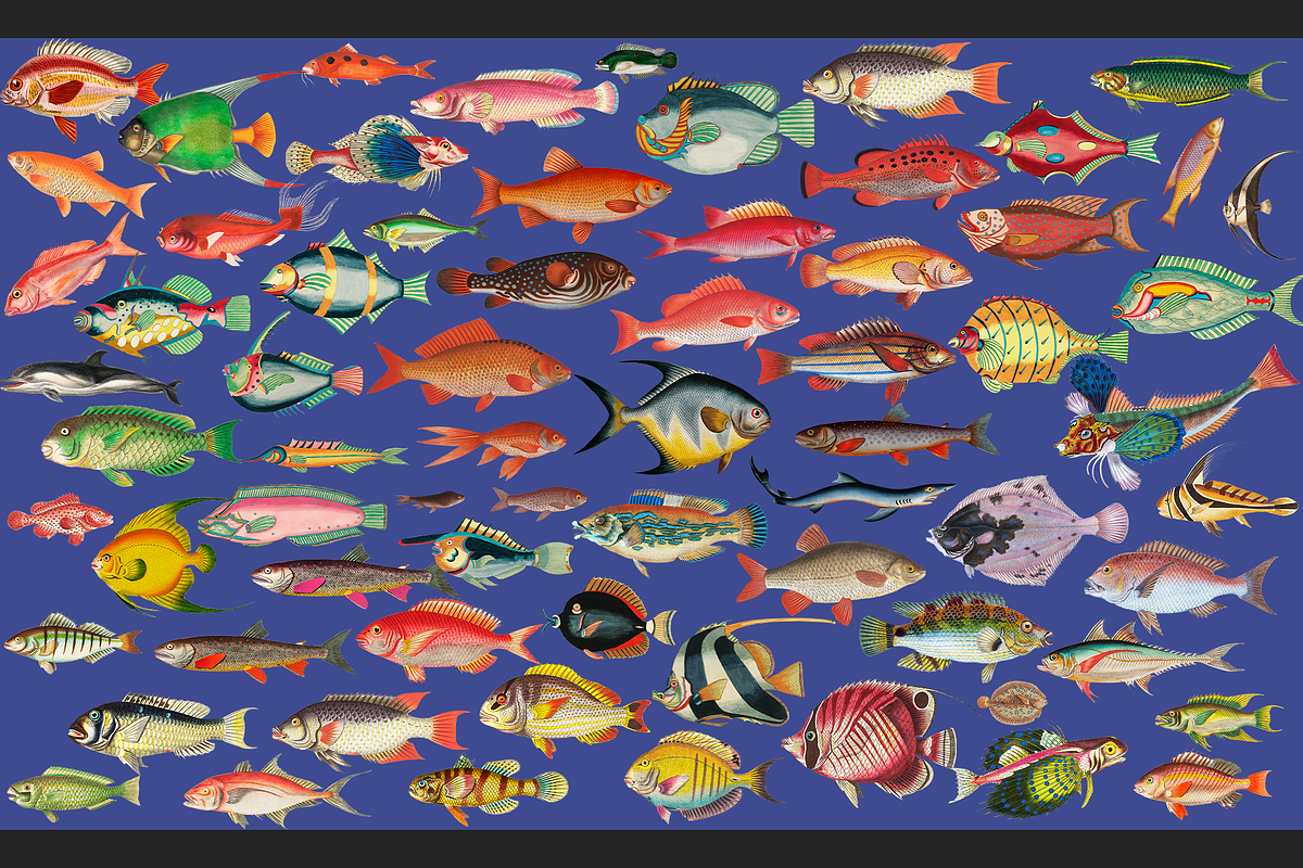 Sea World Vintage Illustrations, an Object Graphic by Lilithcollageart (Photo 6 of 7)