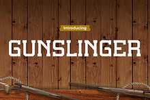 GUNSLINGER