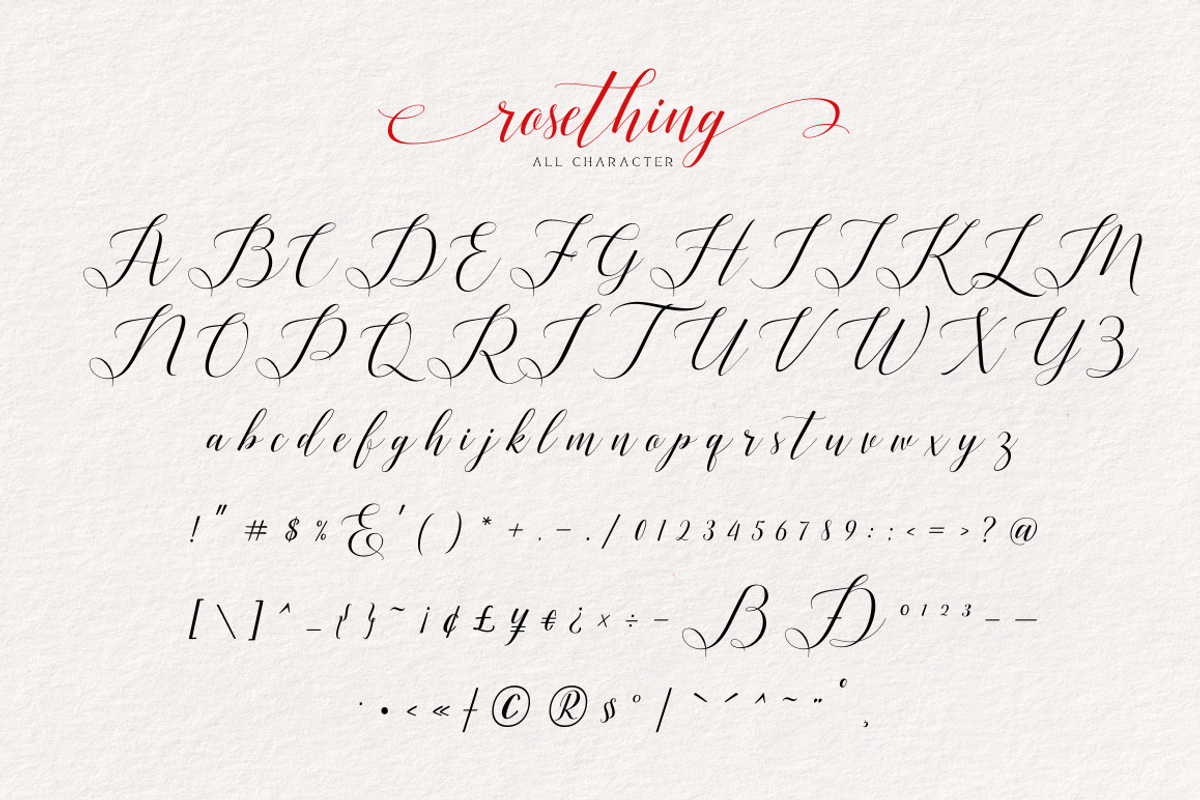 Rosething - Calligraphy Font, a Script Font by Sronstudio (Photo 12 of 12)