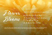 Baylou - Retro Script Font, a Script Font by Dhabee (Thumbnail 8 of 15)