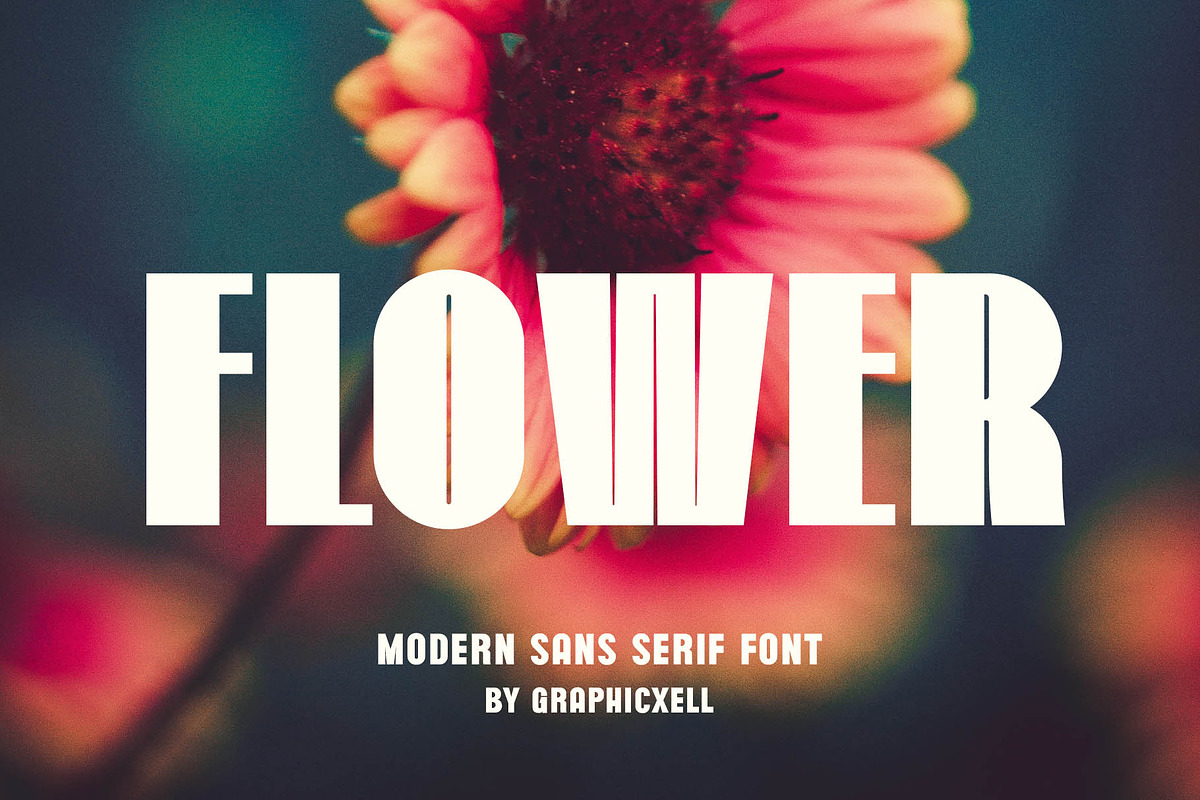 Flower Sans Serif Font, a Sans Serif Font by Graphicxell (Photo 1 of 5)