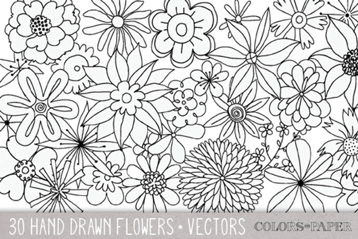 30 Hand Drawn Flowers Vector Clipart, an Illustration by Colors on Paper (Photo 1 of 3)