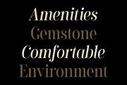 Amaris - Nostalgic Serif, a Serif Font by Craft Supply Co. (Thumbnail 3 of 8)