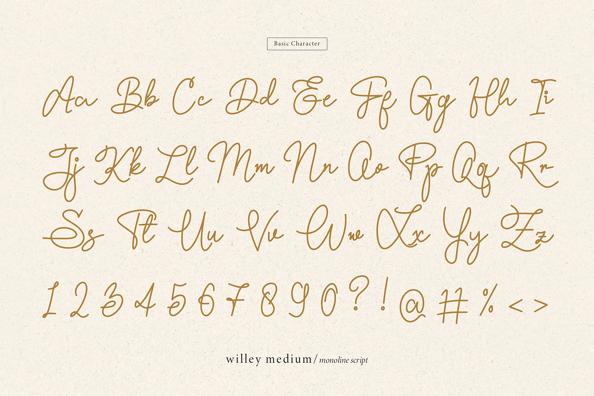 Willey Medium | Monoline Script Font, a Script Font by Denustudios (Photo 14 of 16)