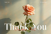 Sunder – Modern Elegant Serif Font, a Serif Font by BrandSemut (Thumbnail 10 of 10)