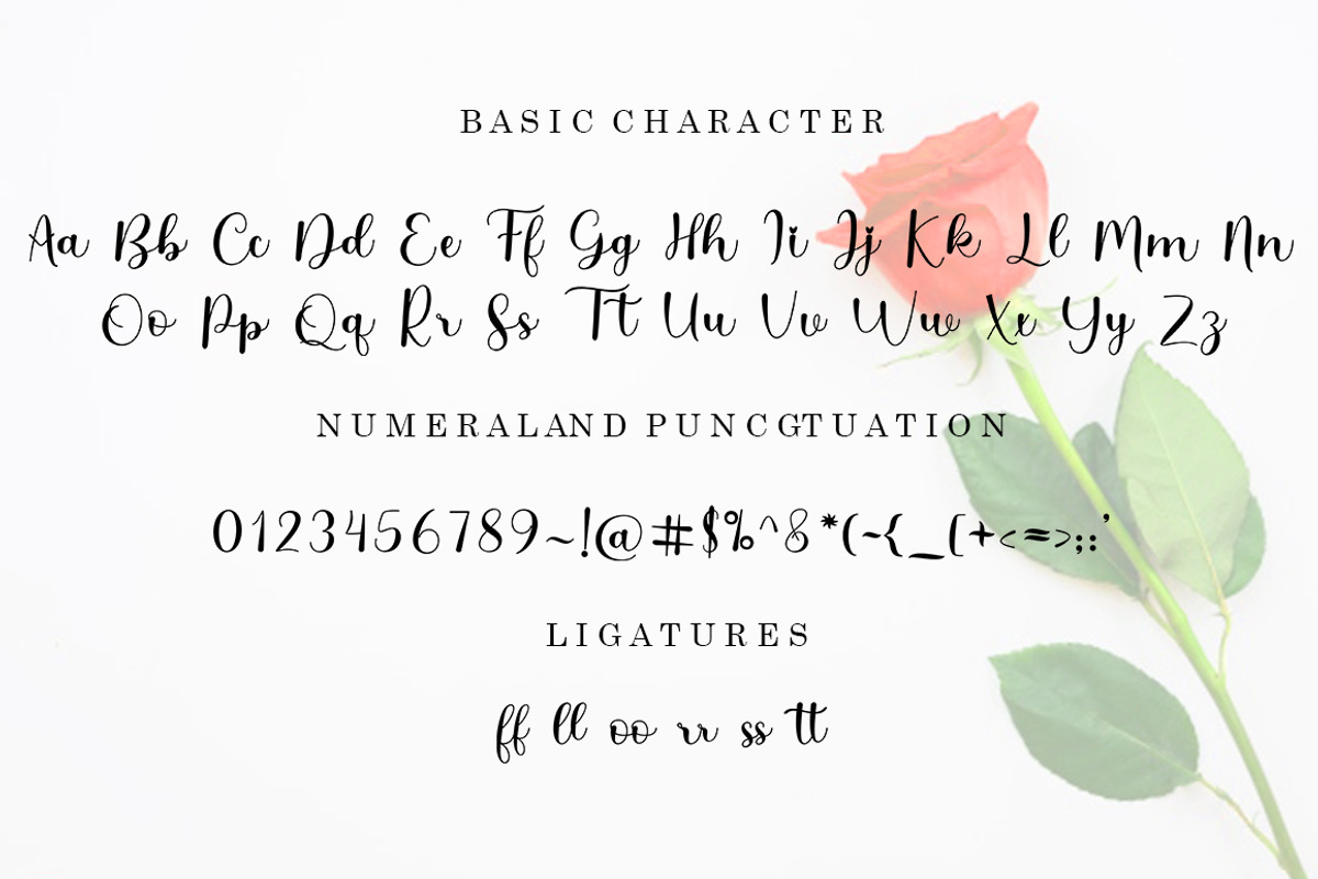 Briliana Script, a Script Font by Bosstype Studio (Photo 8 of 10)