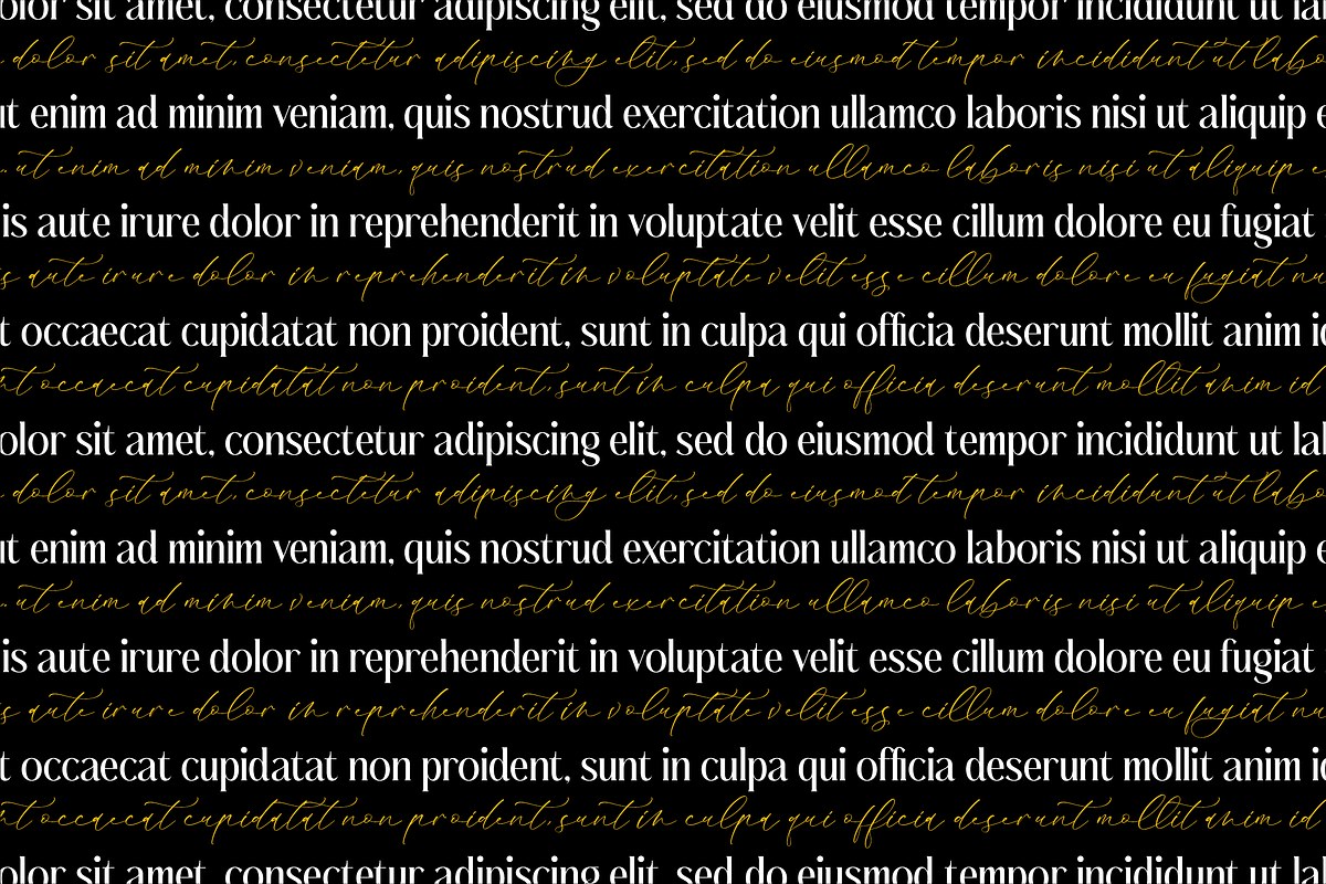 Badelosh Ralintesla Modern Font Duo, a Serif Font by Storytype Studio (Photo 2 of 15)