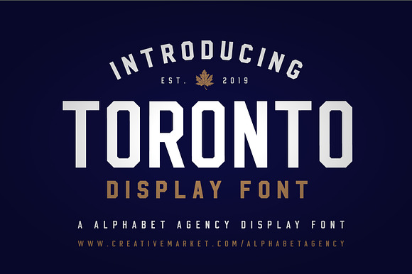 TORONTO DISPLAY FONT preview 8