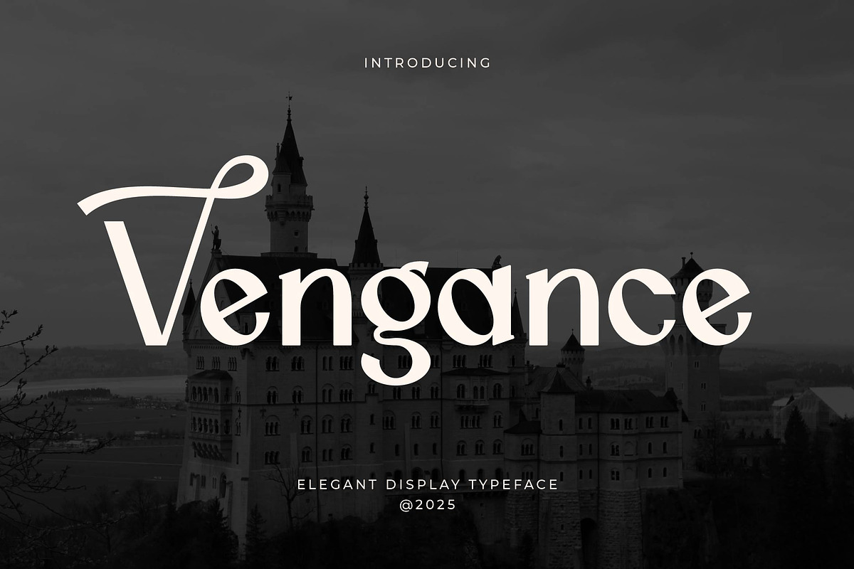 Vengance Luxury Sans Serif, a Sans Serif Font by Artiveko (Photo 1 of 6)