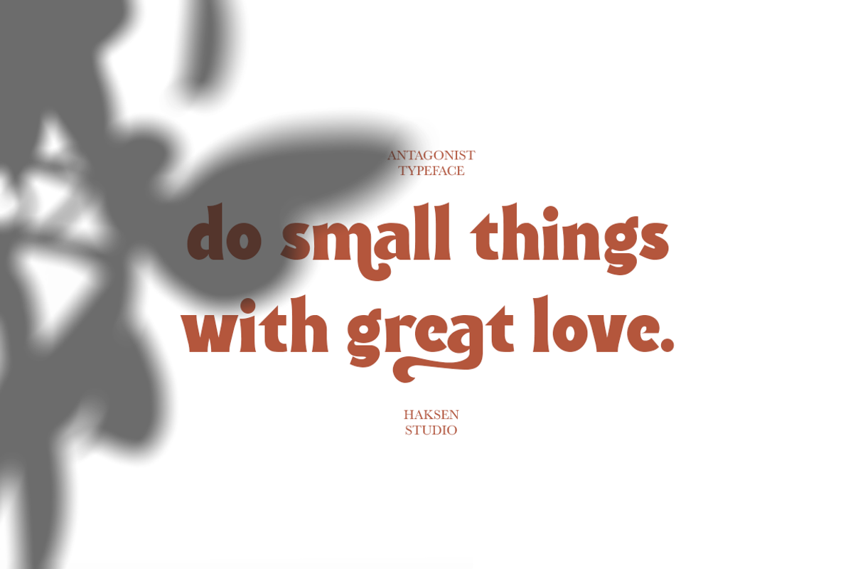 Antagonist Casual Bold Serif, a Serif Font by Haksen (Photo 5 of 15)