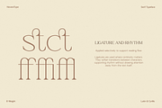 NV NERIVO – Modern Serif Font, a Serif Font by Novaratype (Thumbnail 8 of 15)