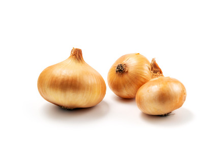 Fresh onion isolated