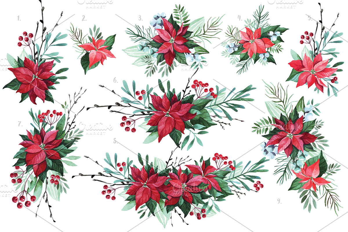Watercolor Christmas flowers, a Decorative Illustration by YuliaBiser (Photo 6 of 10)